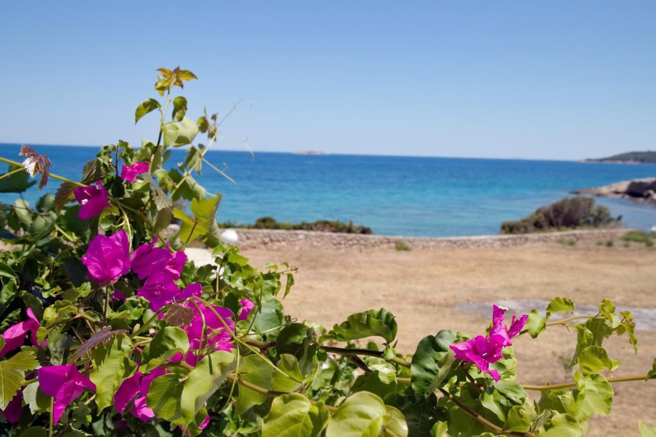 Aroura Homes 4Br Beachfront Villa Spétses Buitenkant foto