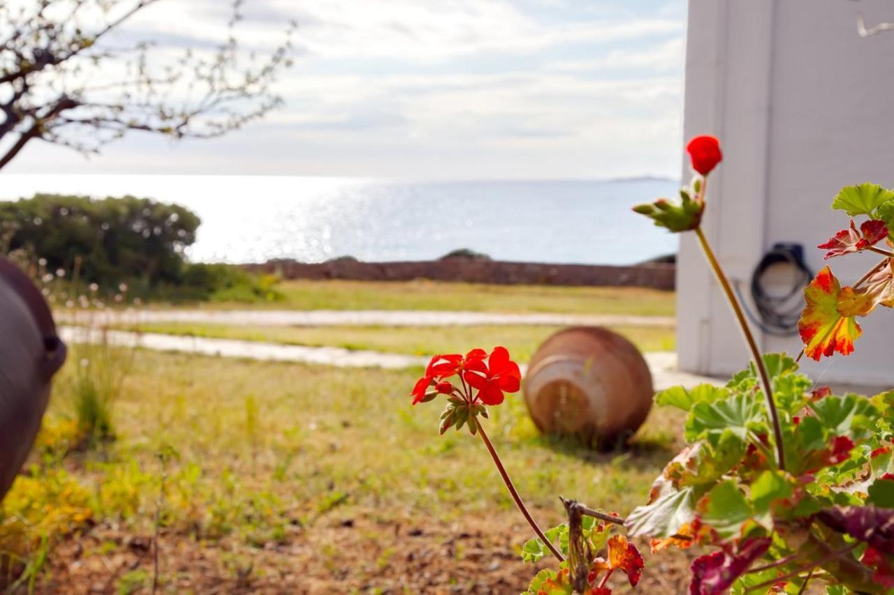 Aroura Homes 4Br Beachfront Villa Spétses Buitenkant foto